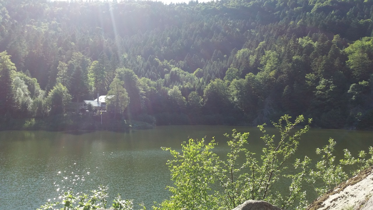 Photo of Outdoor in Fresse-sur-Moselle