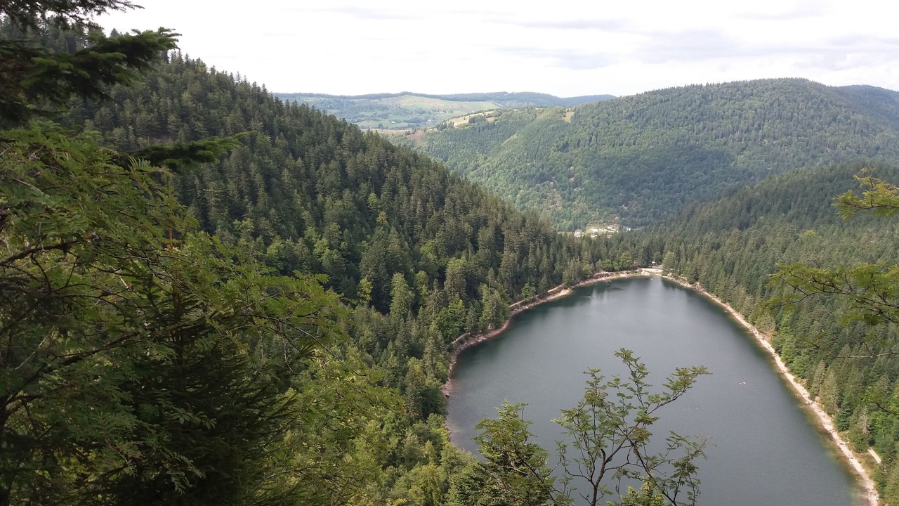 Photo of Others in Fresse-sur-Moselle