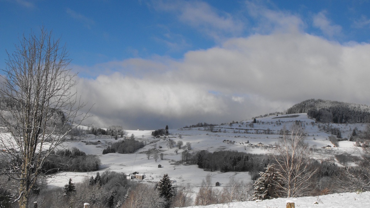 Photo of Others in Fresse-sur-Moselle