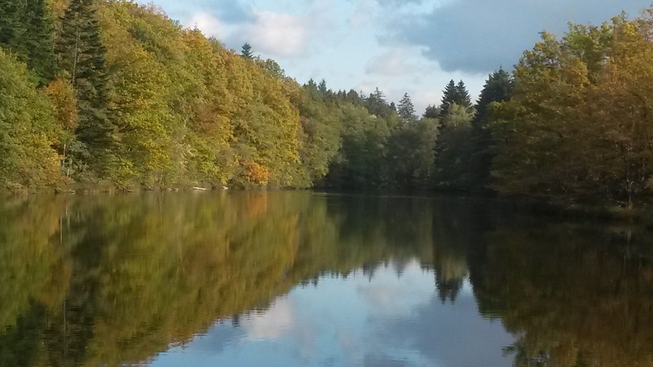 Photo of Outdoor in Fresse-sur-Moselle