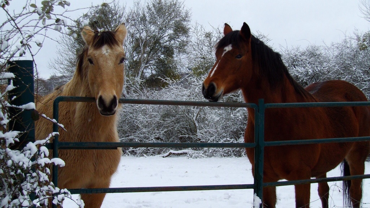 Photo of Outdoor in Brazey-en-Morvan