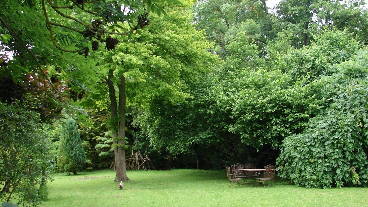 Photo of Outdoor in Cour-Cheverny