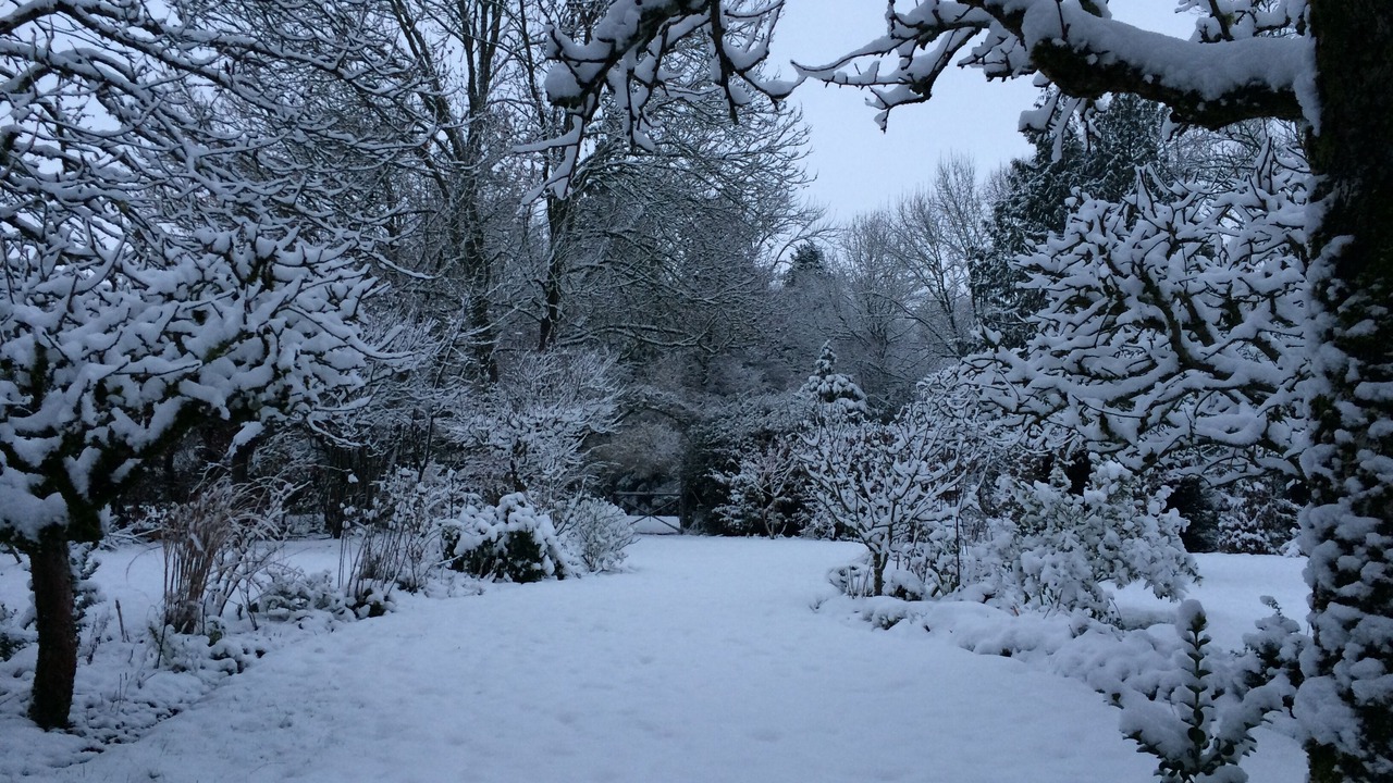Photo of Outdoor in Cour-Cheverny