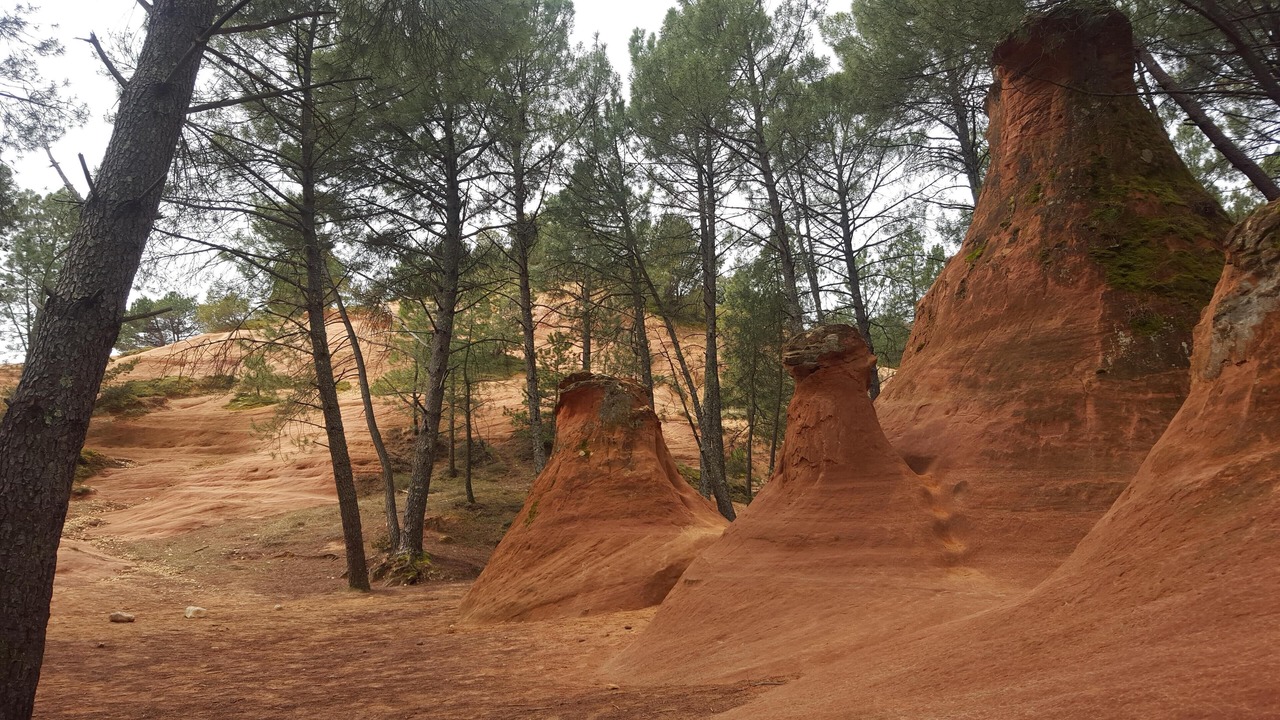 Photo of Outdoor in Bedoin