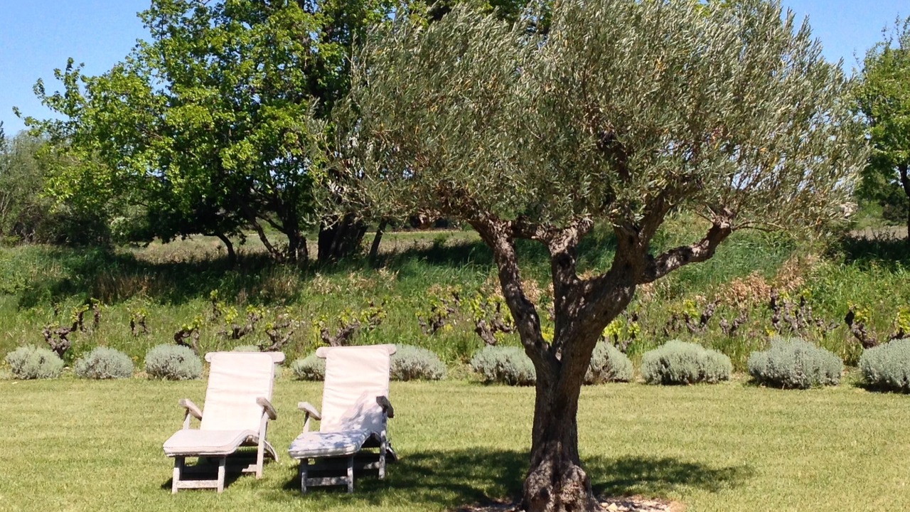 Photo of Outdoor in Cairanne