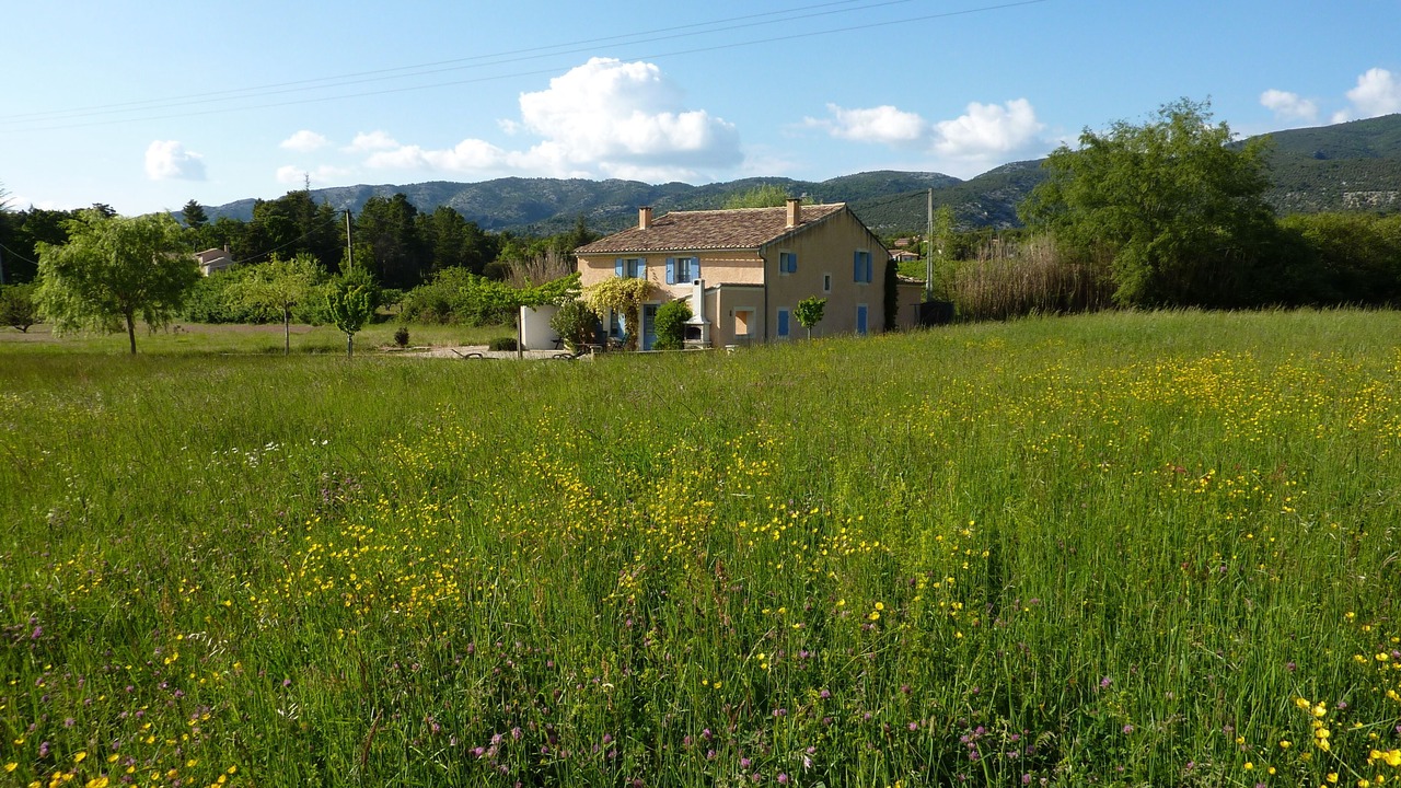 Photo of Outdoor in Bedoin