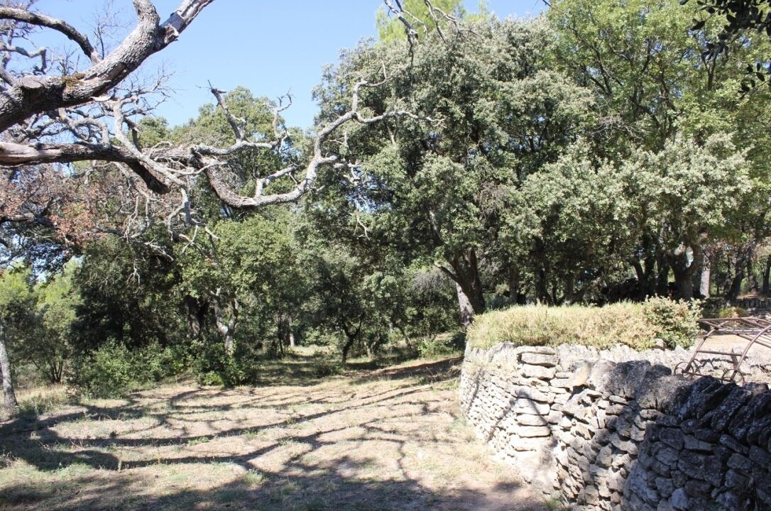 Photo of Outdoor in Saumane-de-Vaucluse