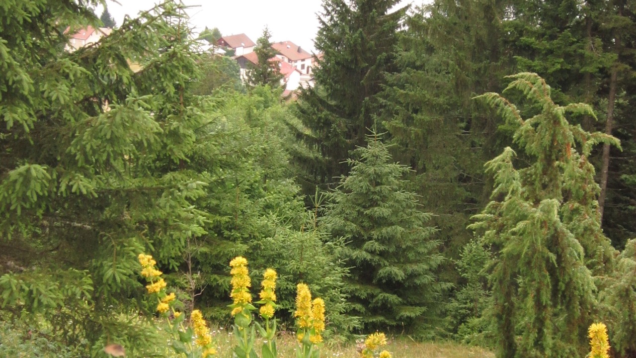 Photo of Outdoor in Malbuisson