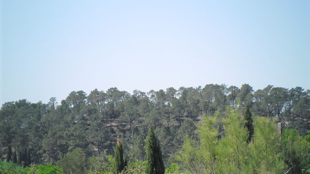 Photo of Others in Bedoin