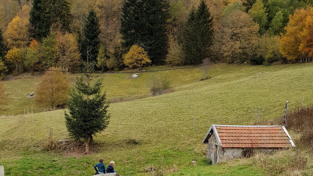 Photo of Outdoor in La Bresse