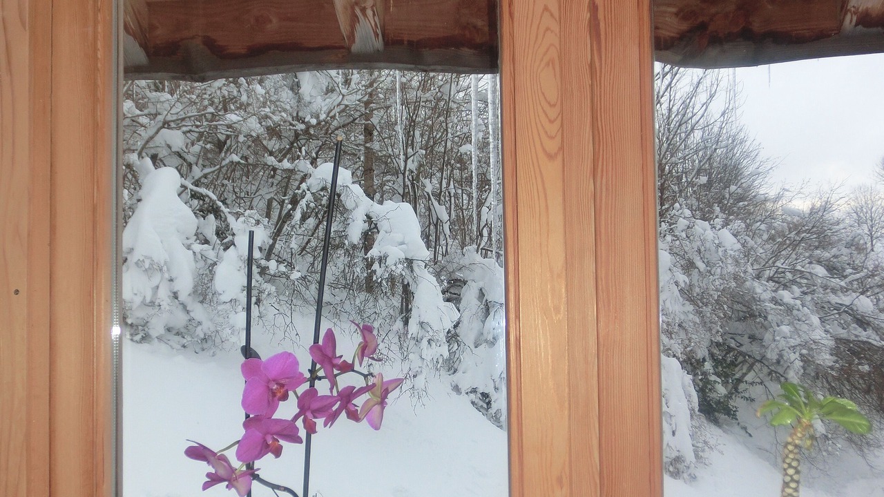 Photo of Others in La Bresse