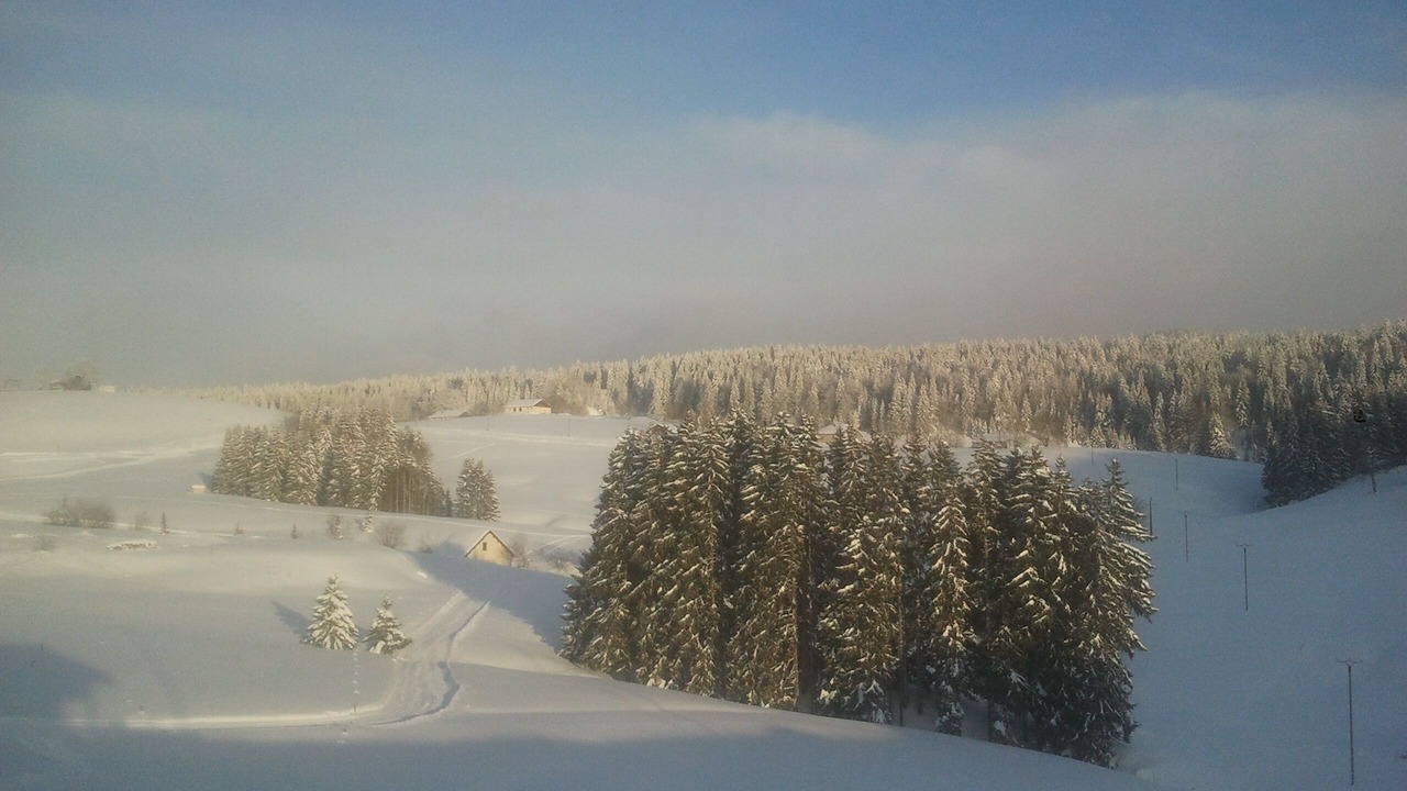 Photo of Others in La Pesse