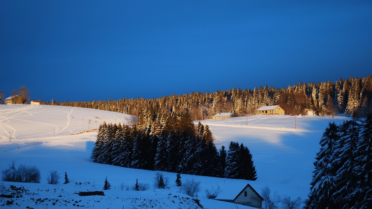 Photo of Others in La Pesse
