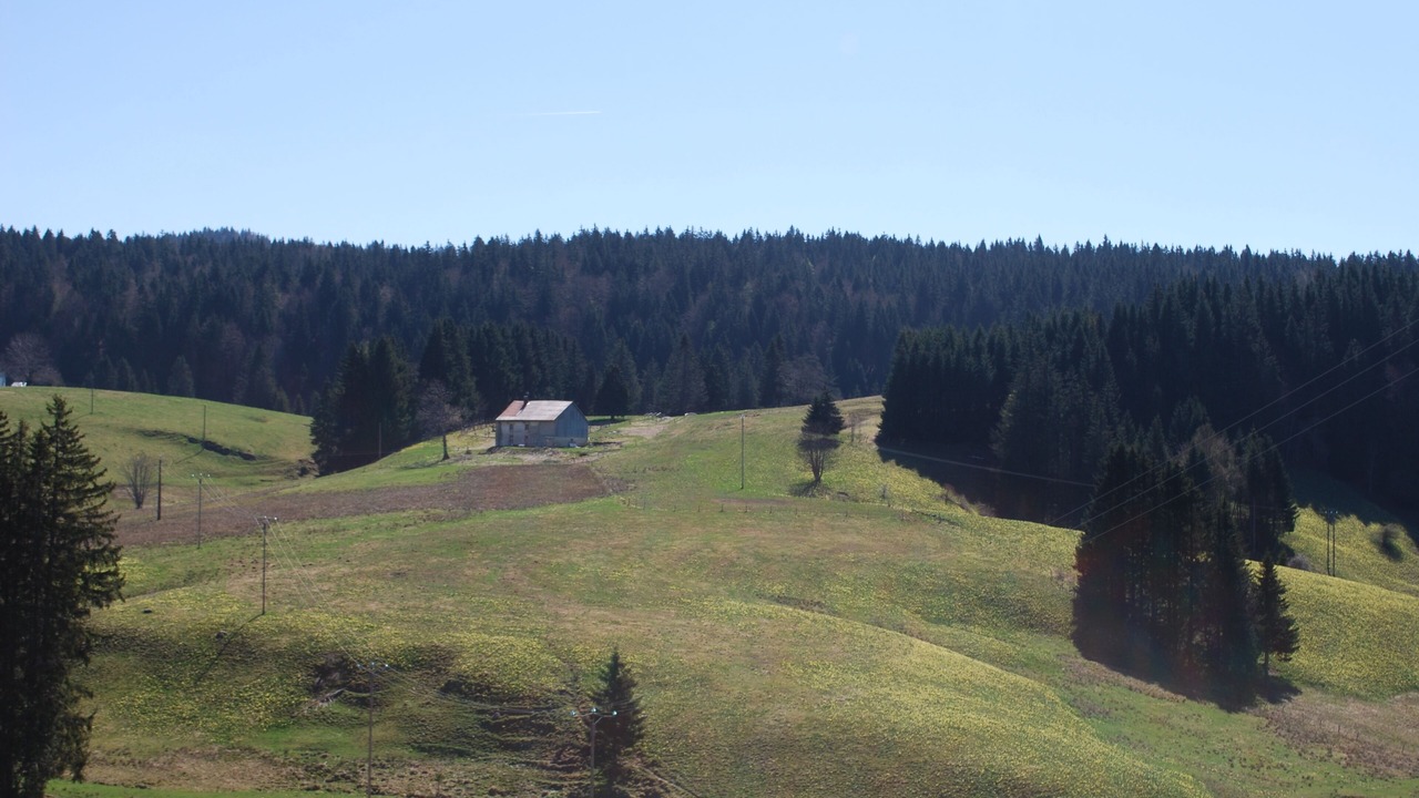 Photo of Others in La Pesse