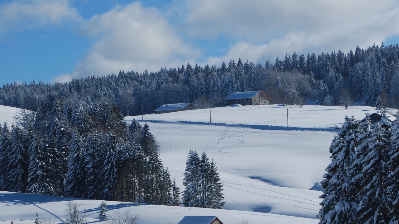 Photo of Others in La Pesse