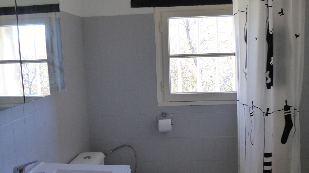 Photo of Bathroom in Valreas