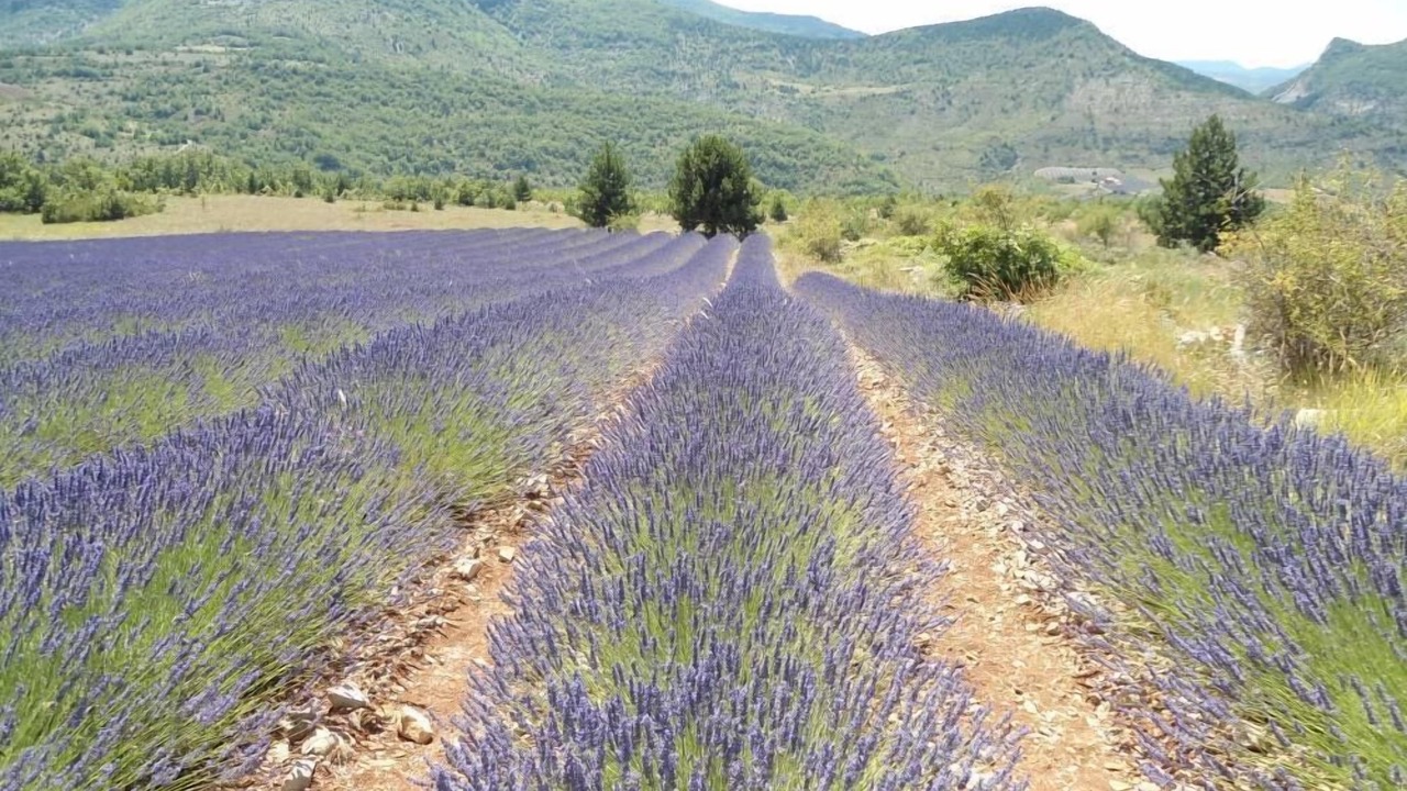 Photo of Outdoor in Valreas