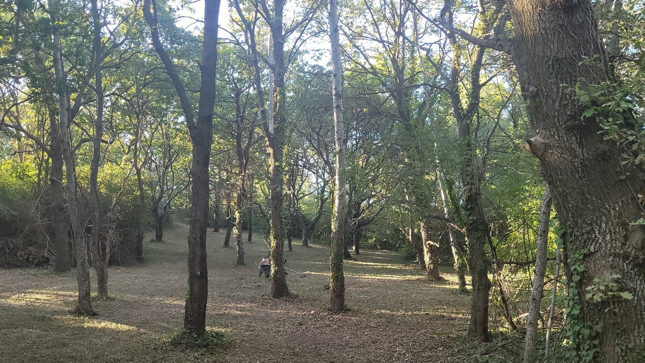 Photo of Outdoor in Valreas