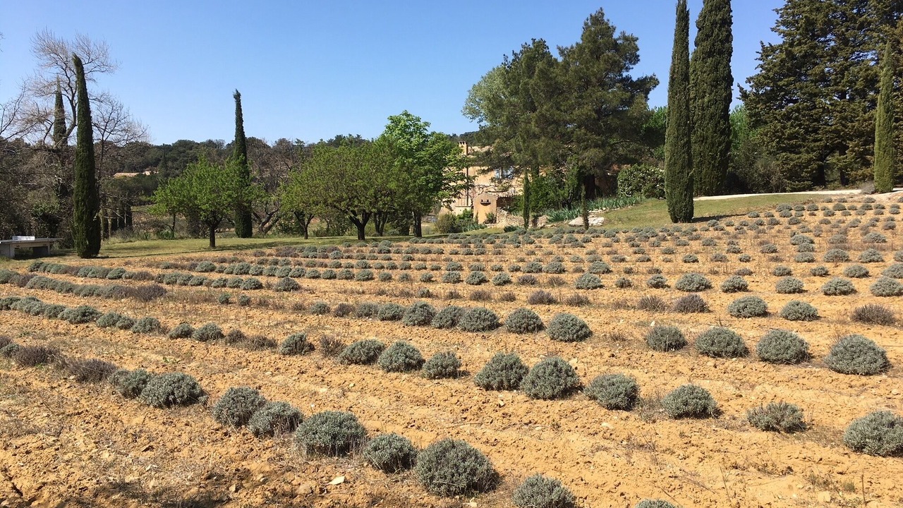Photo of Outdoor in Rousset-les-Vignes