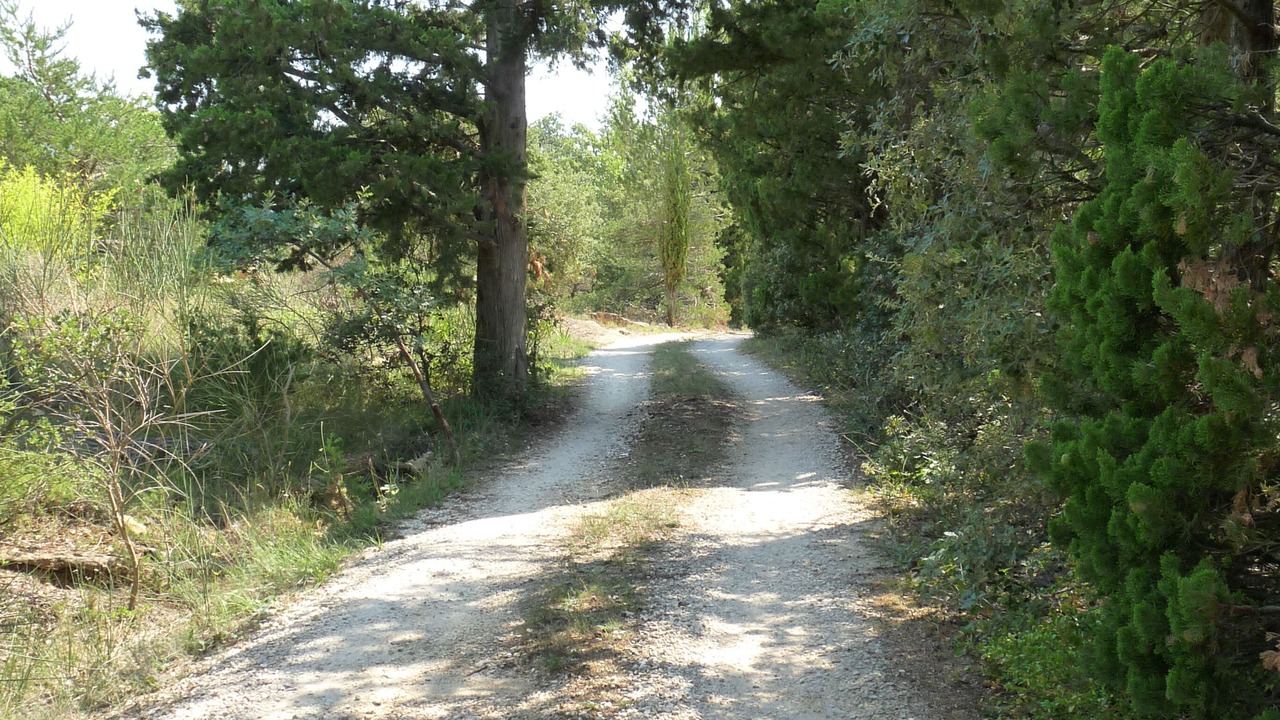 Photo of Outdoor in Rousset-les-Vignes