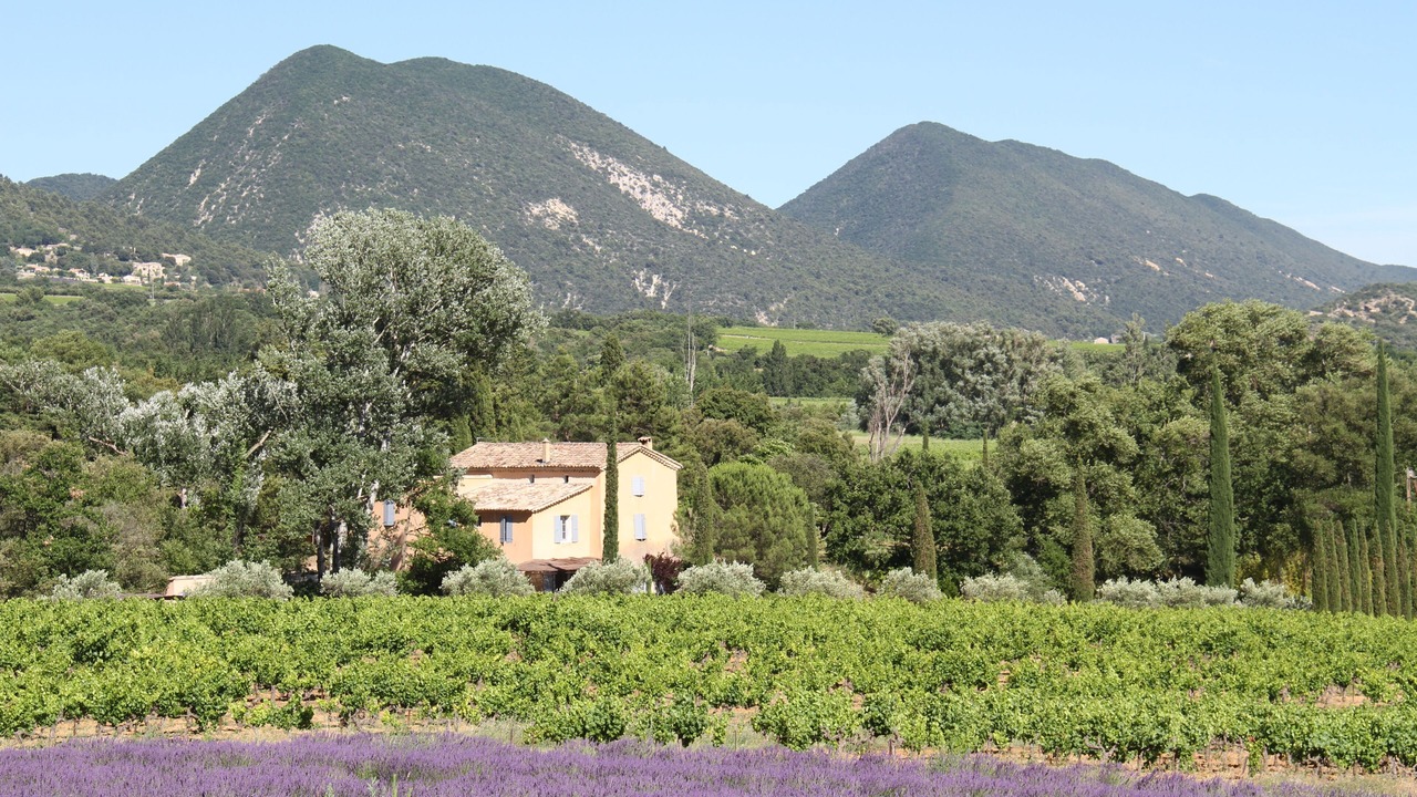 Photo of Others in Rousset-les-Vignes