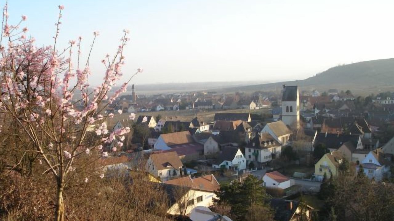 Photo of Outdoor in Mittelwihr