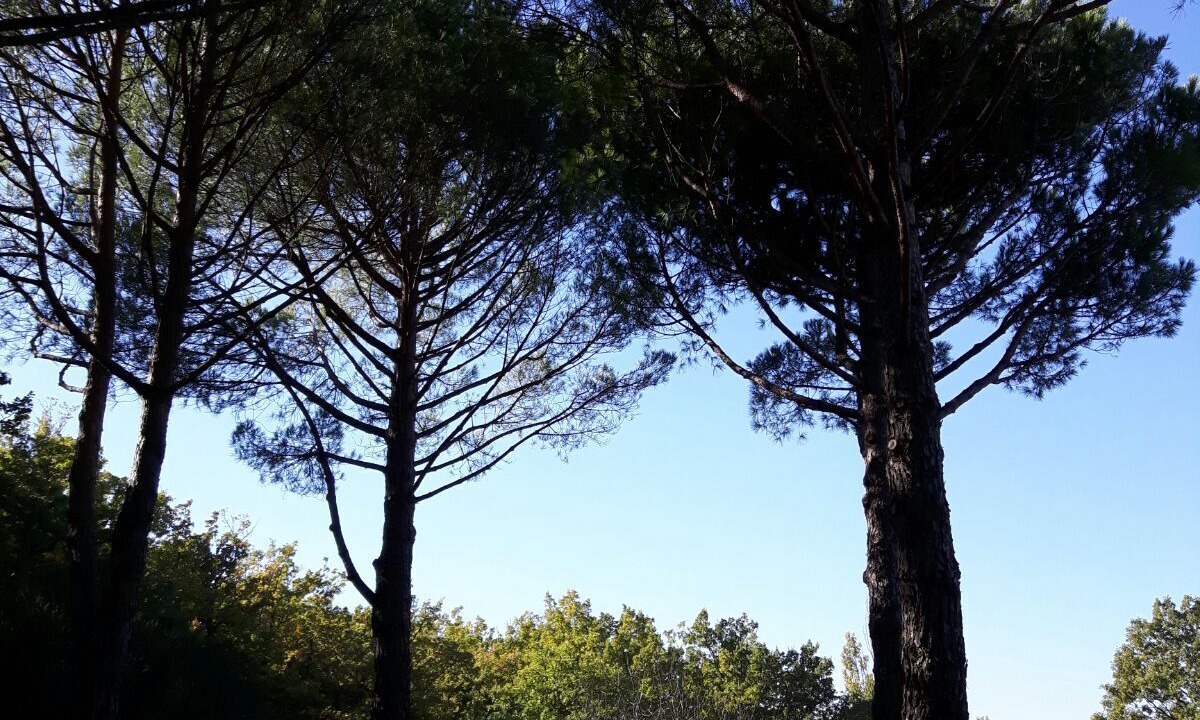 Photo of Outdoor in Chantemerle-les-Grignan