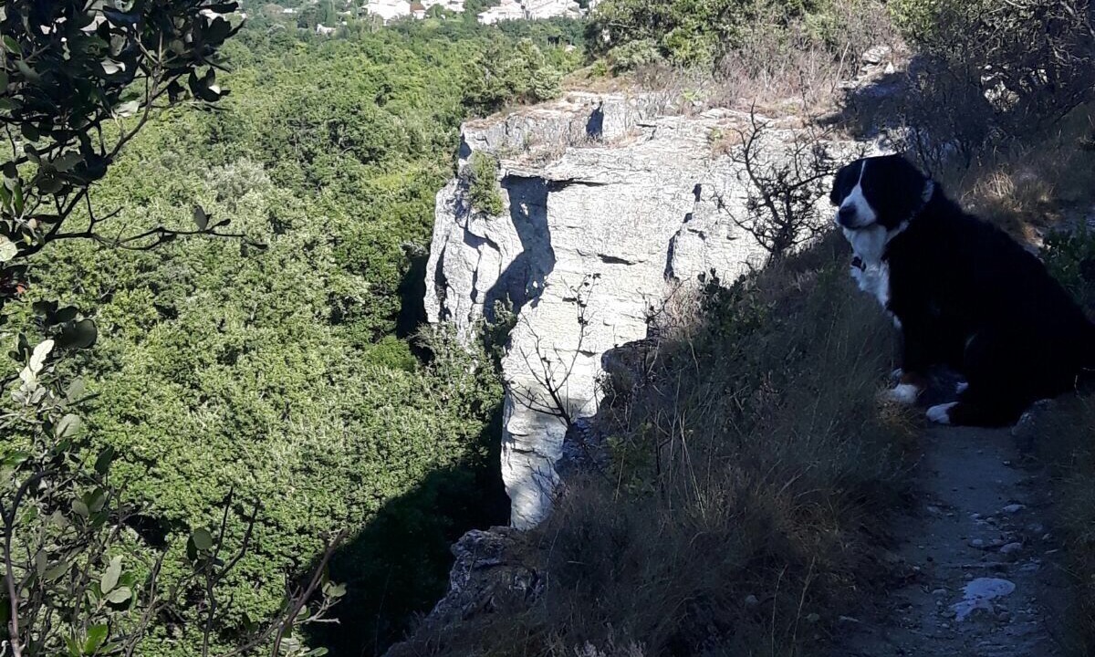 Photo of Outdoor in Chantemerle-les-Grignan