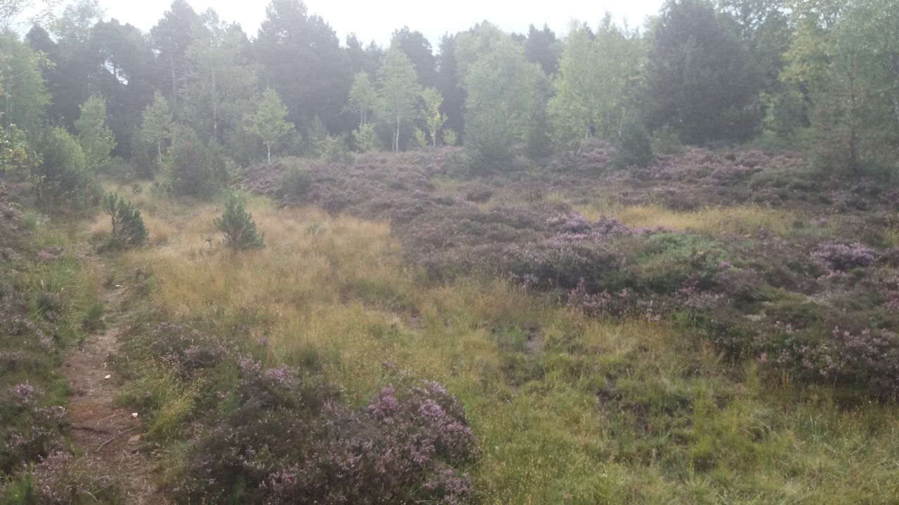Photo of Outdoor in La Chenalotte