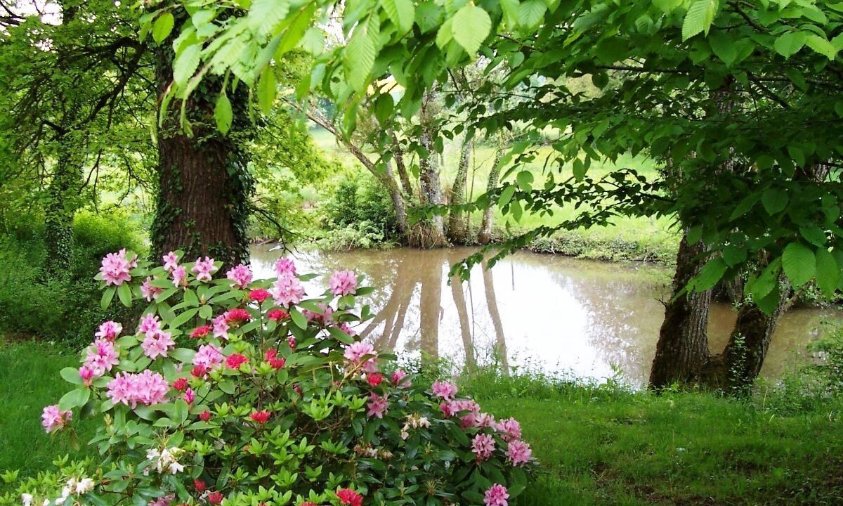 Photo of Outdoor in Menou