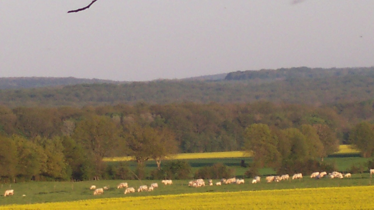 Photo of Others in Menou