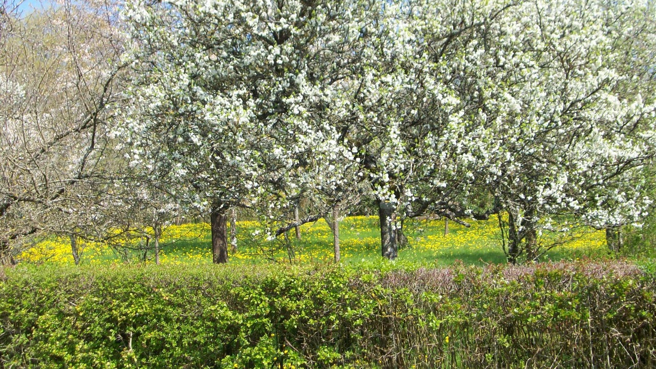 Photo of Outdoor in Menou