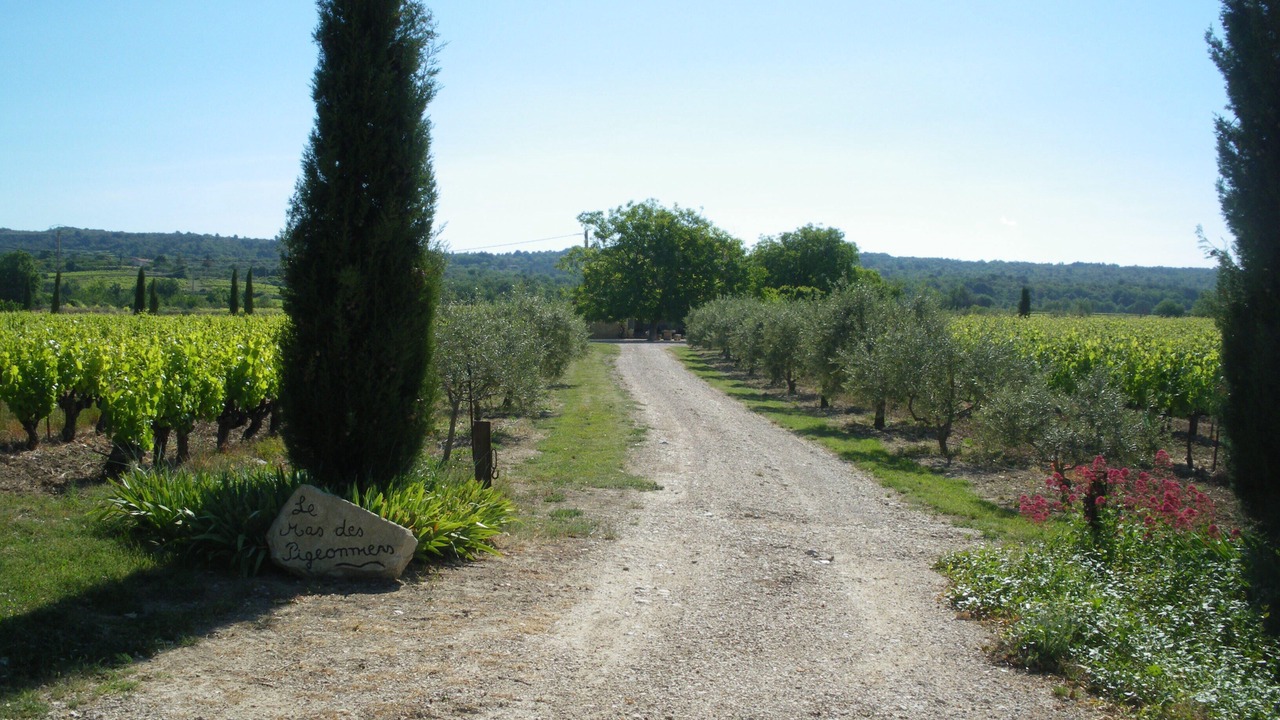 Photo of Outdoor in Mazan
