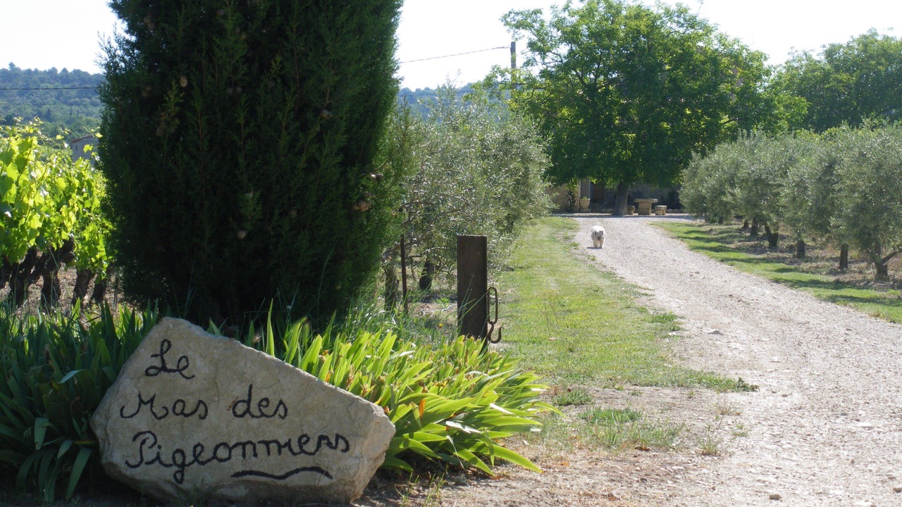 Photo of Outdoor in Mazan