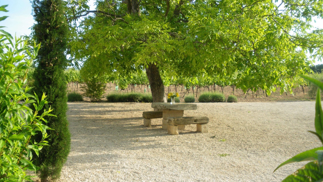 Photo of Outdoor in Mazan