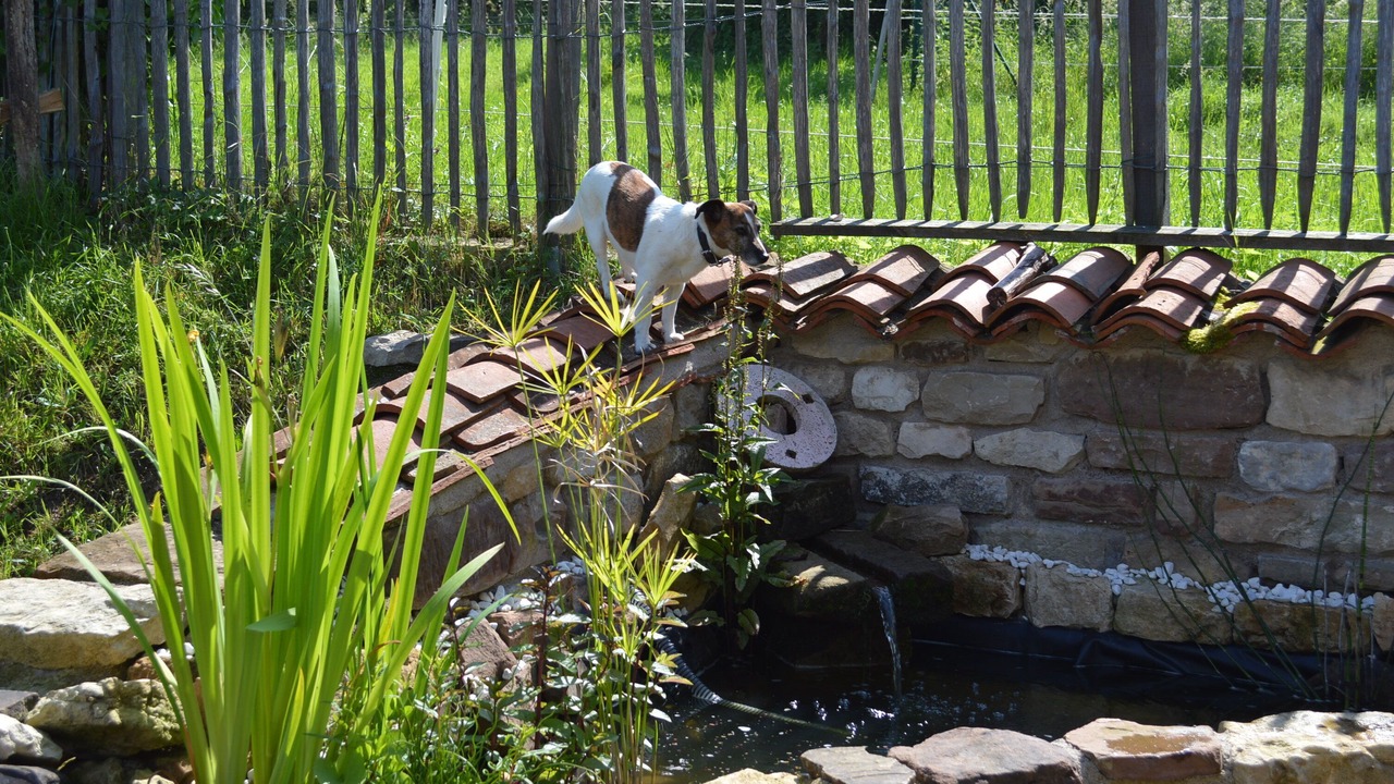 Photo of Outdoor in Tignecourt