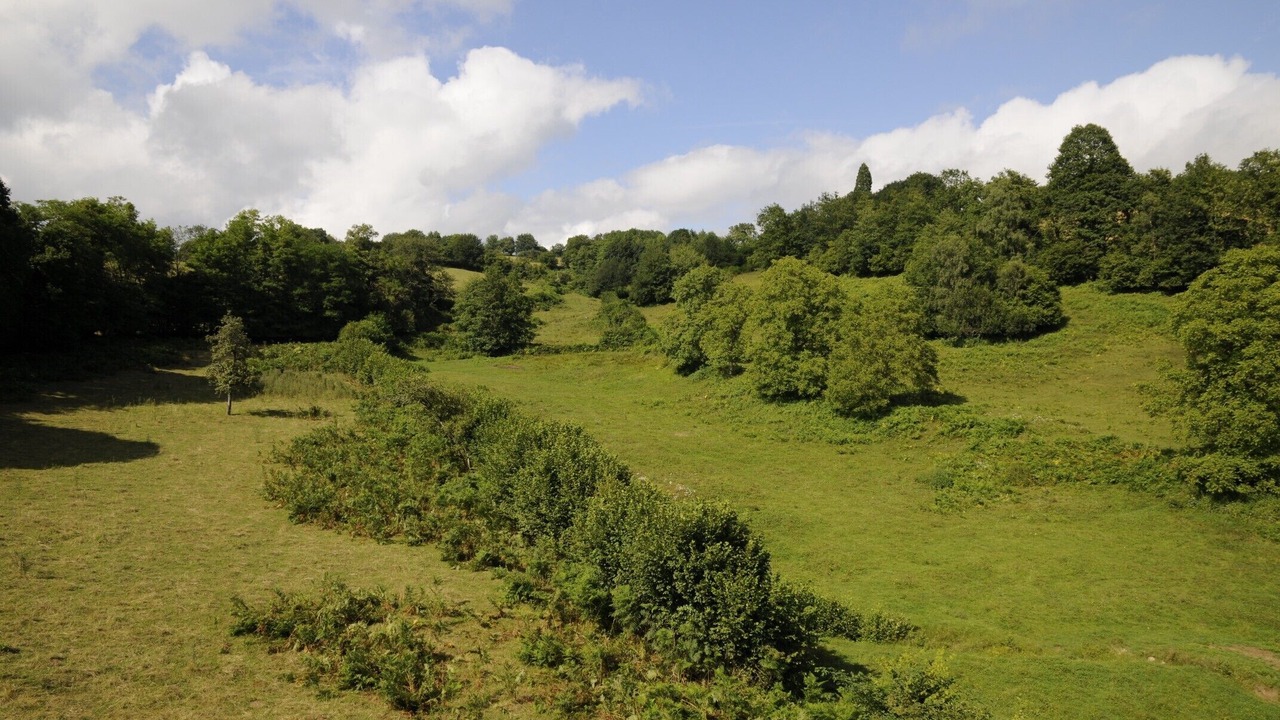 Photo of Others in Cussy-en-Morvan