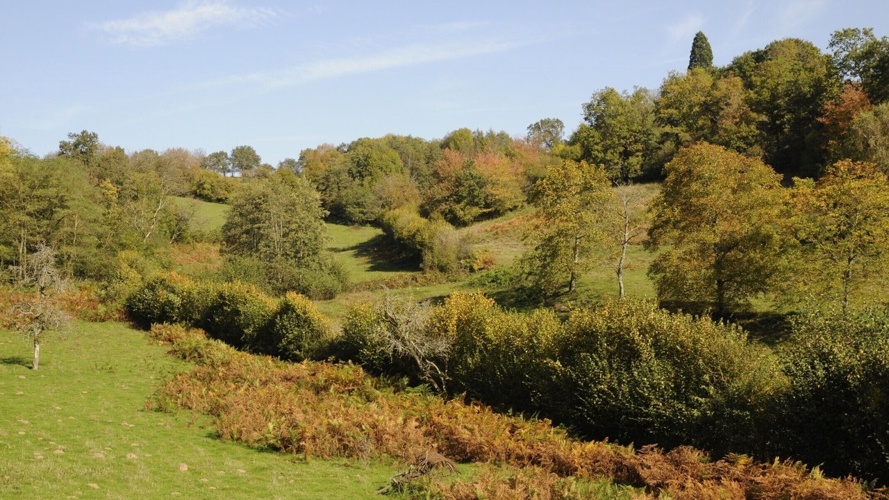 Photo of Others in Cussy-en-Morvan