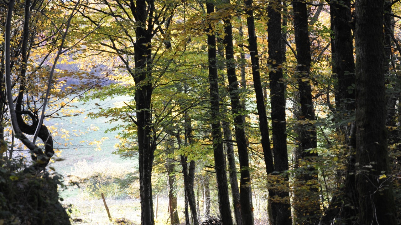 Photo of Outdoor in Cussy-en-Morvan