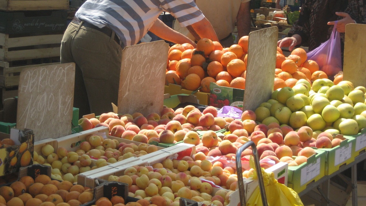 Photo of Others in Venterol