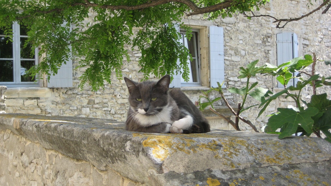 Photo of Others in Venterol