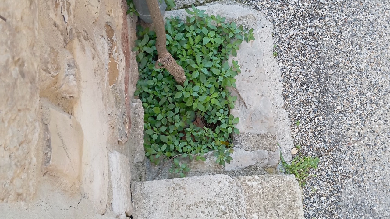 Photo of Outdoor in Venterol