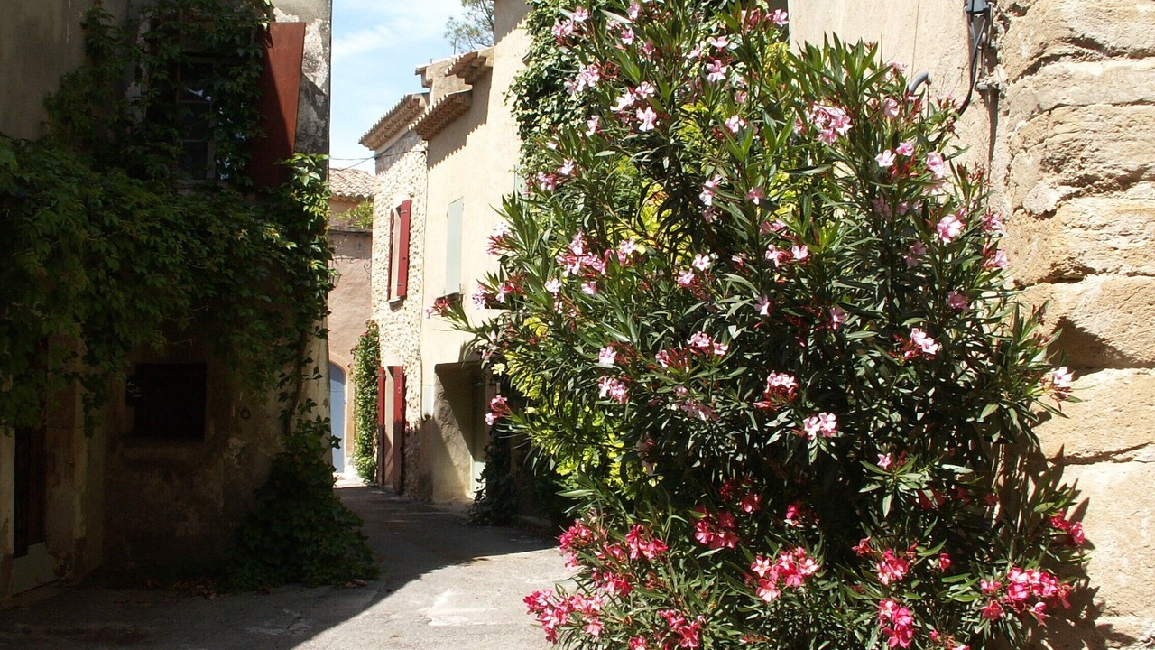 Photo of Others in Villedieu