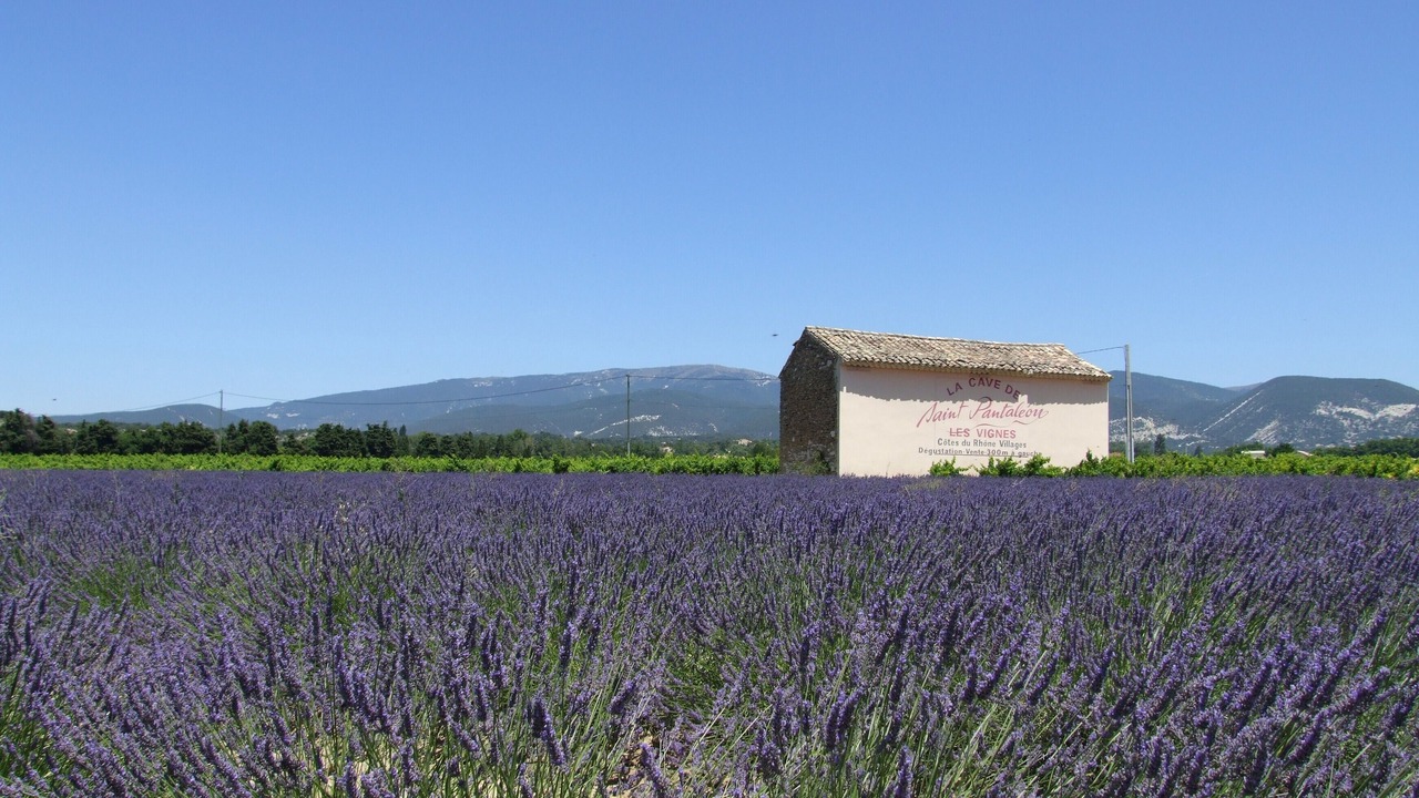 Photo of Others in Villedieu