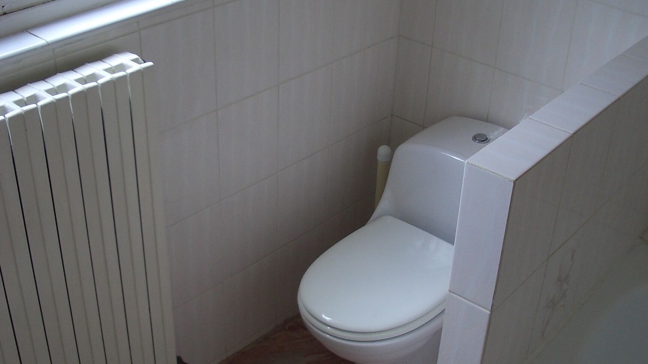 Photo of Bathroom in Saulx-les-Chartreux