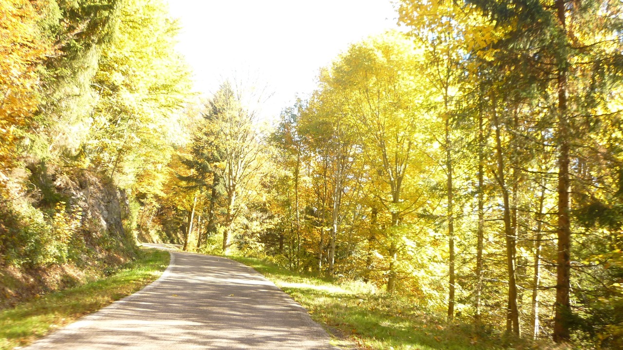 Photo of Outdoor in Le Val-d'Ajol