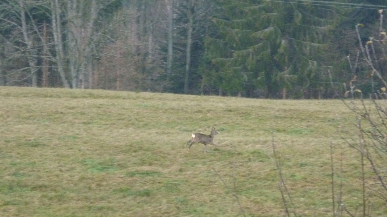 Photo of Outdoor in Le Val-d'Ajol