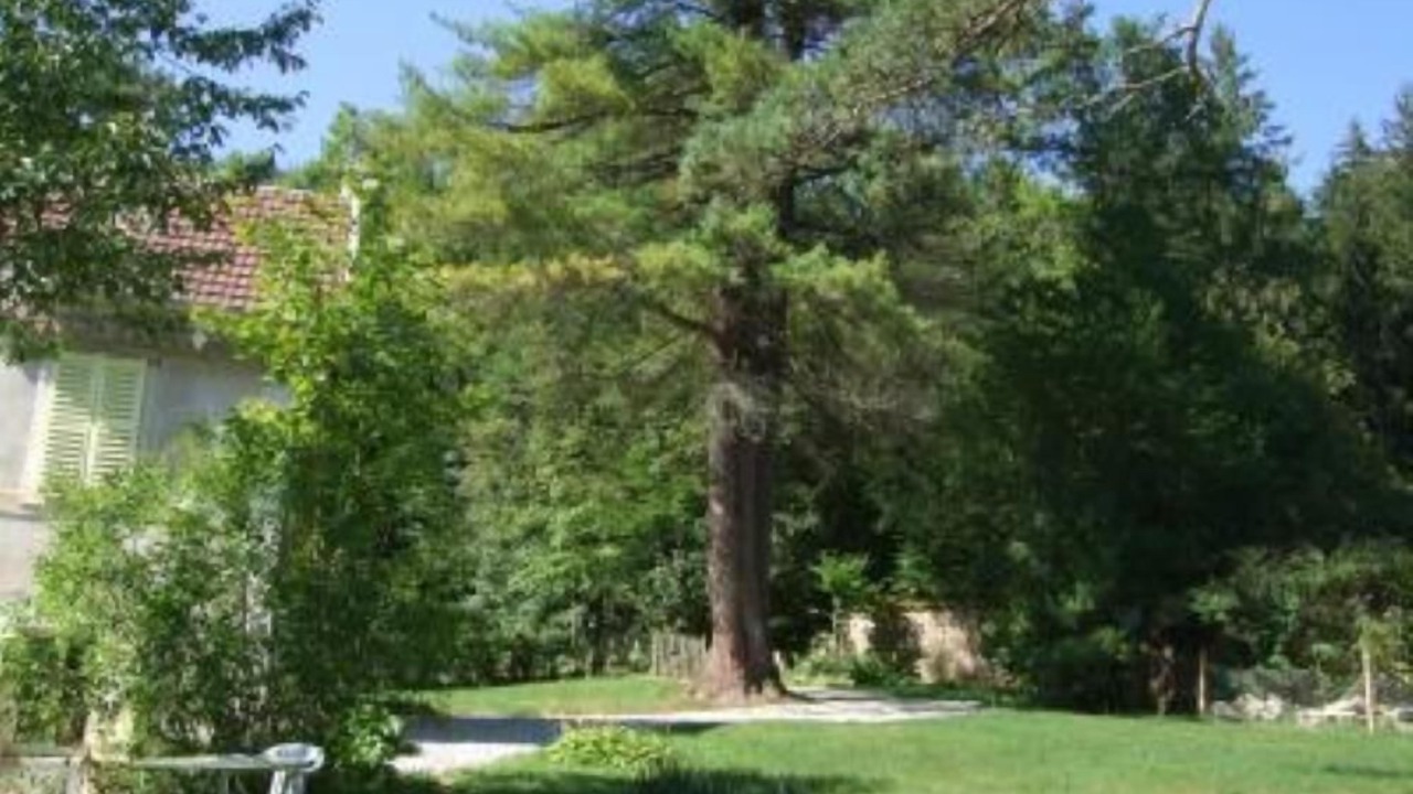 Photo of Outdoor in Scey-Maisieres