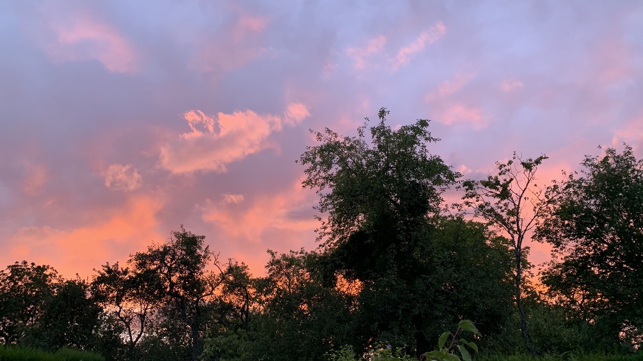 Photo of Outdoor in Faymont