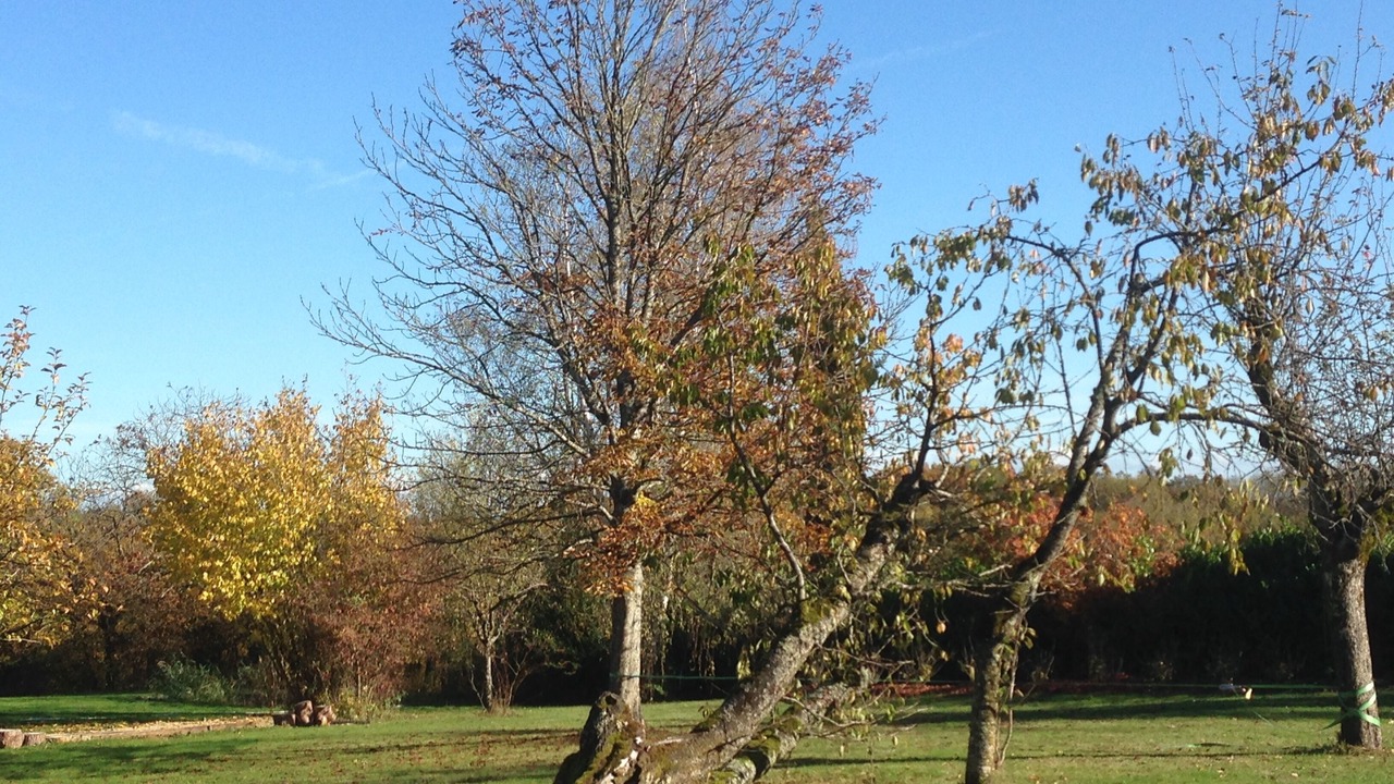 Photo of Others in Saint-Martin-le-Chatel